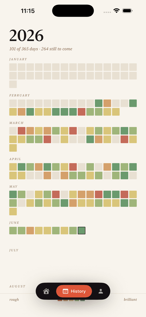 DaySlice - a year-in-pixels mood history for 2026, on device